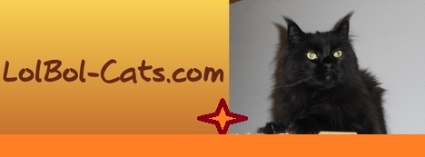 LolBol-Cats.com+Attila